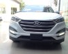 Hyundai Tucson 2017 - Bán ô tô Hyundai Tucson đời 2017, màu trắng, xe nhập