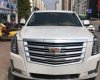 Cadillac Escalade Esv Premium 2017 - Salon bán Cadillac Escalade Esv Premium đời 2017, màu trắng, nhập khẩu