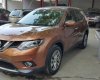 Nissan X trail SV 2017 - Bán xe Nissan X trail SV đời 2017