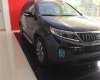 Kia Sorento 2017 - Sorento giá ưu đãi nhất tại Kia Thái Bình, liên hệ 0948366995