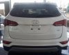 Hyundai Santa Fe 2017 - Cần bán Hyundai Santa Fe sản xuất 2017, màu trắng