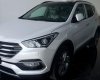 Hyundai Santa Fe 2017 - Cần bán Hyundai Santa Fe sản xuất 2017, màu trắng