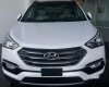 Hyundai Santa Fe 2017 - Cần bán Hyundai Santa Fe sản xuất 2017, màu trắng