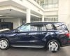 Mercedes-Benz GLS 350D 2017 - Cần bán xe Mercedes 350D sản xuất 2017, màu đen