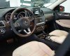 Mercedes-Benz GLS 350 4Matic AT 2017 - Bán xe Mercedes GLS 350 4Matic AT đời 2017