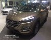 Hyundai Tucson 2017 - Cần bán xe Hyundai Tucson 2017, màu nâu, xe nhập