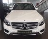 Mercedes-Benz GL 2017 - Cần bán xe Mercedes đời 2017, màu trắng, nhập khẩu