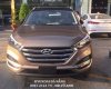 Hyundai Tucson 2017 - Cần bán xe Hyundai Tucson 2017, màu nâu, xe nhập