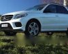 Mercedes-Benz GLS  400 4 Matic AT 2017 - Cần bán Mercedes GLS 400 4 Matic AT đời 2017, màu trắng, xe nhập