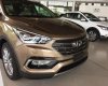 Hyundai Santa Fe 2.2  2017 - Bán Hyundai SantaFe 2.2 dầu 1 cầu đặc biệt đời 2017, màu nâu (vàng cát), mới 100%, trả góp 85% xe. ĐT: 0941.46.22.77