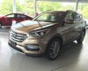 Hyundai Santa Fe 2.2  2017 - Bán Hyundai SantaFe 2.2 dầu 1 cầu đặc biệt đời 2017, màu nâu (vàng cát), mới 100%, trả góp 85% xe. ĐT: 0941.46.22.77