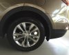 Hyundai Santa Fe 2.2  2017 - Bán Hyundai SantaFe 2.2 dầu 1 cầu đặc biệt đời 2017, màu nâu (vàng cát), mới 100%, trả góp 85% xe. ĐT: 0941.46.22.77