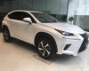 Lexus NX 300 2017 - Bán Lexus NX đời 2017, màu trắng, nhập khẩu chính hãng