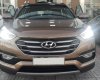 Hyundai Santa Fe 2017 - Cần bán xe Hyundai Santa Fe năm 2017, nhập khẩu chính hãng