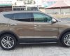 Hyundai Santa Fe 2017 - Cần bán xe Hyundai Santa Fe năm 2017, nhập khẩu chính hãng