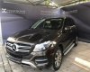 Mercedes-Benz GLE-Class  GLE400 Exclusive 2015 - Cần bán lại xe Mercedes GLE400 Exclusive đời 2015, màu nâu, nhập khẩu nguyên chiếc