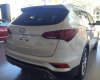 Hyundai Santa Fe 2017 - Hyundai Gia Lai - Bán ô tô Hyundai Santa Fe 2017, đủ màu, khuyến mãi 230tr, chỉ từ 898tr, vay vốn 90%, 0915554357
