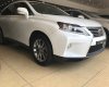 Lexus RX350 2014 - Cần bán gấp Lexus RX350  2014 đăng ký 2015 