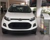 Ford EcoSport   2017 - Bán ô tô Ford EcoSport đời 2017, màu trắng  