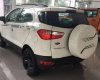Ford EcoSport   2017 - Bán ô tô Ford EcoSport đời 2017, màu trắng  