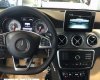 Mercedes-Benz GLA-Class GLA250 4matic 2017 - Bán Mercedes GLA250 4matic đời 2017, màu nâu, xe nhập