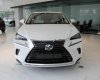 Lexus NX 300 2017 - Bán ô tô Lexus NX 300 đời 2017, màu trắng, xe nhập