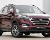 Hyundai Tucson 2WD 2017 - Bán Hyundai Tucson Cần Thơ - Hotline 0939.552.039