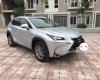 Lexus NX  200T 2014 - Bán ô tô Lexus NX 200T sản xuất 2014, màu bạc, nhập khẩu chính chủ