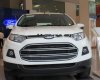 Ford EcoSport Trend 1.5L MT 2017 - Bán xe Ford EcoSport Trend 1.5L MT đời 2017, màu trắng, giá 505tr