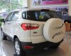 Ford EcoSport Trend 1.5L MT 2017 - Bán xe Ford EcoSport Trend 1.5L MT đời 2017, màu trắng, giá 505tr