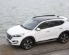 Hyundai Tucson   2017 - Bán xe Hyundai Tucson đời 2017, màu trắng, giá chỉ 890 triệu