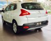Peugeot 3008 2014 - Peugeot Phú Mỹ Hưng bán xe Peugeot 3008 2014