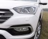 Hyundai Santa Fe 2017 - Bán ô tô Hyundai Santa Fe đời 2017, màu trắng, nhập khẩu nguyên chiếc, giá tốt