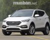 Hyundai Santa Fe 2017 - Bán ô tô Hyundai Santa Fe đời 2017, màu trắng, nhập khẩu nguyên chiếc, giá tốt