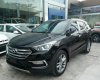 Hyundai Santa Fe 2017 - Cần bán Hyundai Santa Fe đời 2017, màu đen, liên hệ 0939/593/770