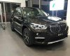 BMW X1 xDrive 18i   2017 - Bán xe BMW X1 xDrive 18i đời 2017, màu đen, nhập khẩu