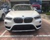 BMW X1  xDrive 2017 - Bán BMW X1 xDrive đời 2017, màu trắng, nhập khẩu