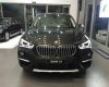 BMW X1 xDrive 18i   2017 - Bán xe BMW X1 xDrive 18i đời 2017, màu đen, nhập khẩu