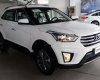 Hyundai Creta 2017 - Cần bán Hyundai Creta đời 2017, màu trắng, xe nhập