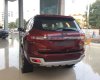 Ford Everest 2.2L 4x2 AT Trend 2017 - Ford Everest giá tốt nhất xe mới 100%, khuyến mãi sốc, tặng phụ kiện khi mua xe