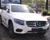 Mercedes-Benz GLC-Class  GLC 250  2017 - Bán xe Mercedes GLC 250 năm 2017, màu trắng, nhập khẩu