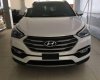 Hyundai Santa Fe   2017 - Bán xe Hyundai Santa Fe SX 2017, xe mới hoàn toàn