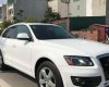 Audi Q5   3.2 AT  2008 - Cần bán gấp Audi Q5 3.2 AT đời 2008, màu trắng, nhập khẩu nguyên chiếc