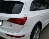 Audi Q5   3.2 AT  2008 - Cần bán lại xe Audi Q5 3.2 AT năm 2008, màu trắng, nhập khẩu