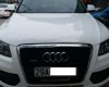 Audi Q5   3.2 AT  2008 - Cần bán lại xe Audi Q5 3.2 AT năm 2008, màu trắng, nhập khẩu