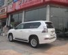 Lexus GX 460 2015 - Bán Lexus GX460 đời 2015, màu trắng, xe nhập