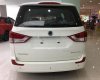 Ssangyong Stavic Khác Stavic 2017 - Bán ô tô Ssangyong Stavic Khác Stavic đời 2017, màu trắng, nhập khẩu