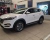 Hyundai Santa Fe 2017 - Cần bán xe Hyundai Santa Fe đời 2017, màu trắng