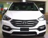 Hyundai Santa Fe 2017 - Cần bán xe Hyundai Santa Fe đời 2017, màu trắng