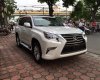 Lexus GX 460 2016 - Cần bán xe Lexus GX 460 đời 2016, màu trắng, nhập khẩu Mỹ